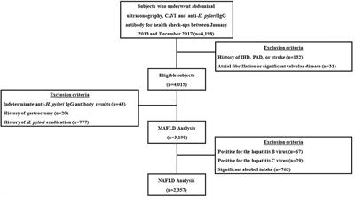 Non-alcoholic/Metabolic-Associated Fatty Liver Disease and Helicobacter pylori Additively Increase the Risk of Arterial Stiffness